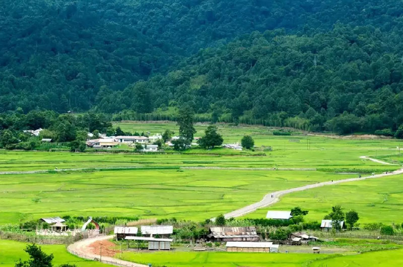 Ziro Arunachal Pradesh | Banasri Tourism Private Limited